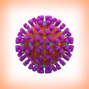 covid-19 coronavirus 3D model