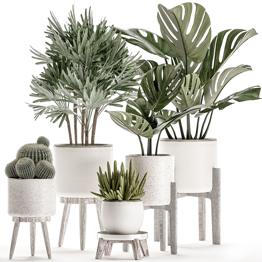 3D decorative plants interior white - TurboSquid 1544411