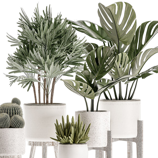 3D decorative plants interior white - TurboSquid 1544411