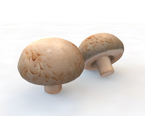 mushroom model