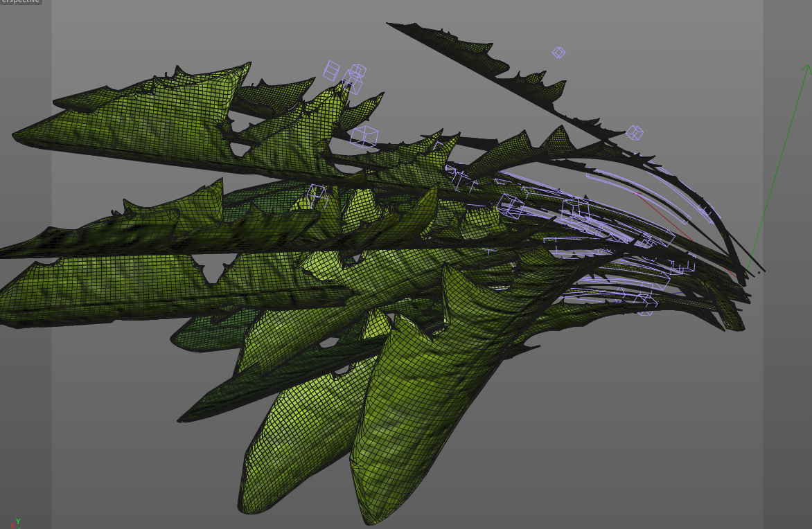 dandelion greens3d模型