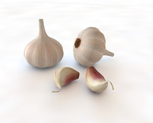 garlic 3D model