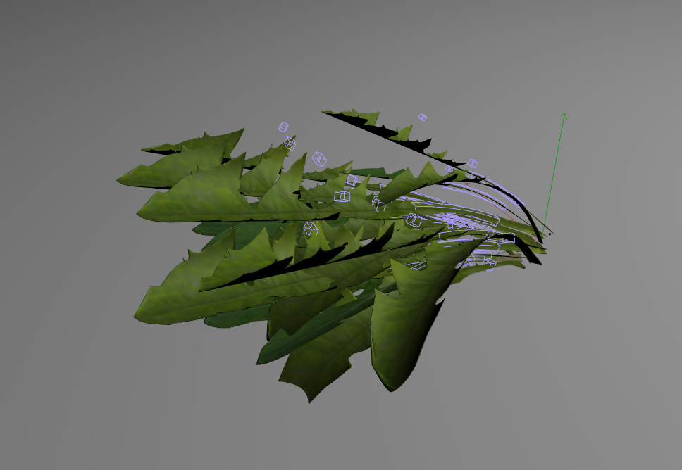 dandelion greens3d模型