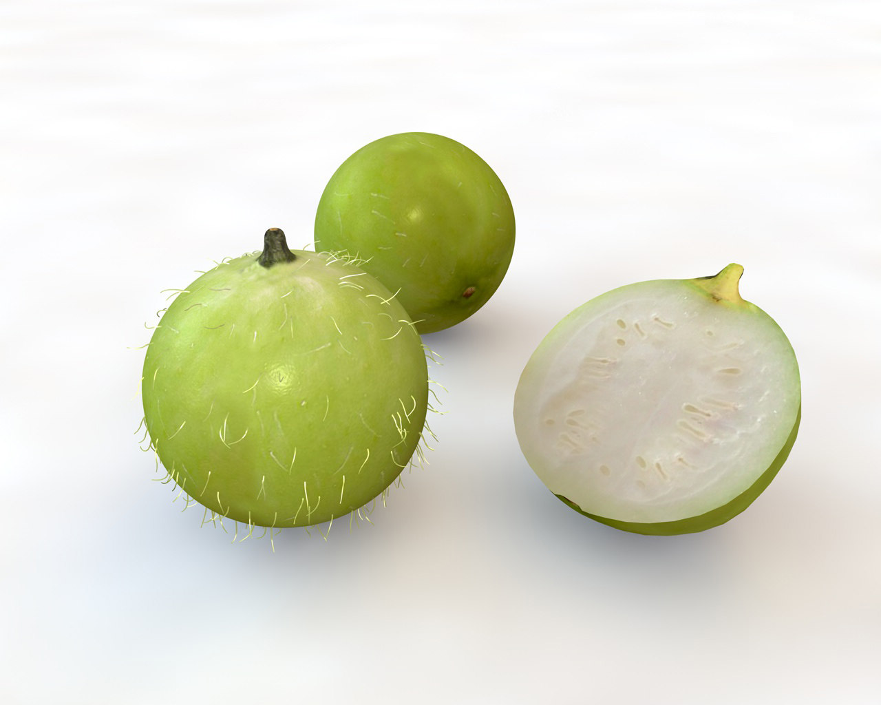 Tinda Praecitrullus fistulosus 3D 모델 TurboSquid 1544610