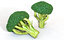 vegetables 3D
