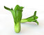 vegetables 3D