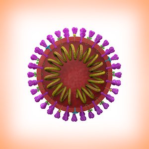 3D section coronavirus model