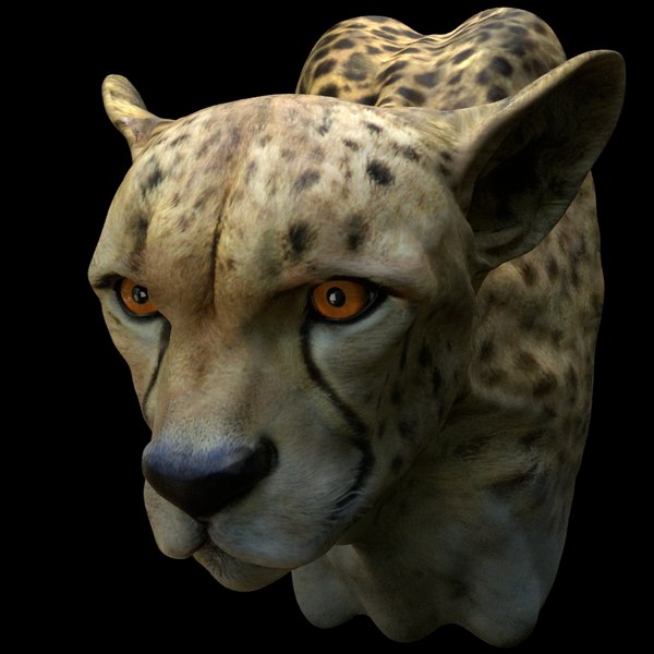 soften shadows in cheetah3d