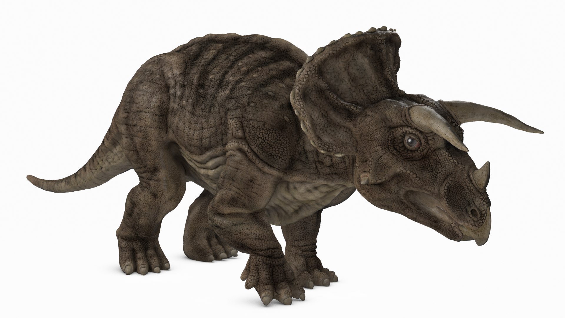 triceratops 2020