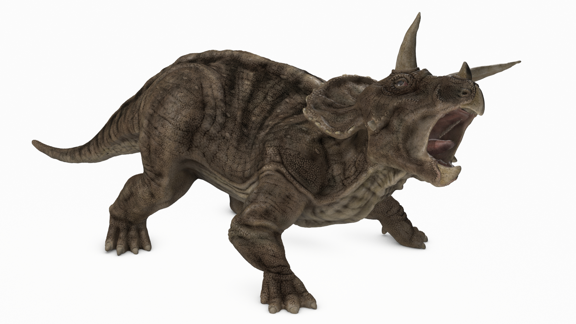 triceratops 2020