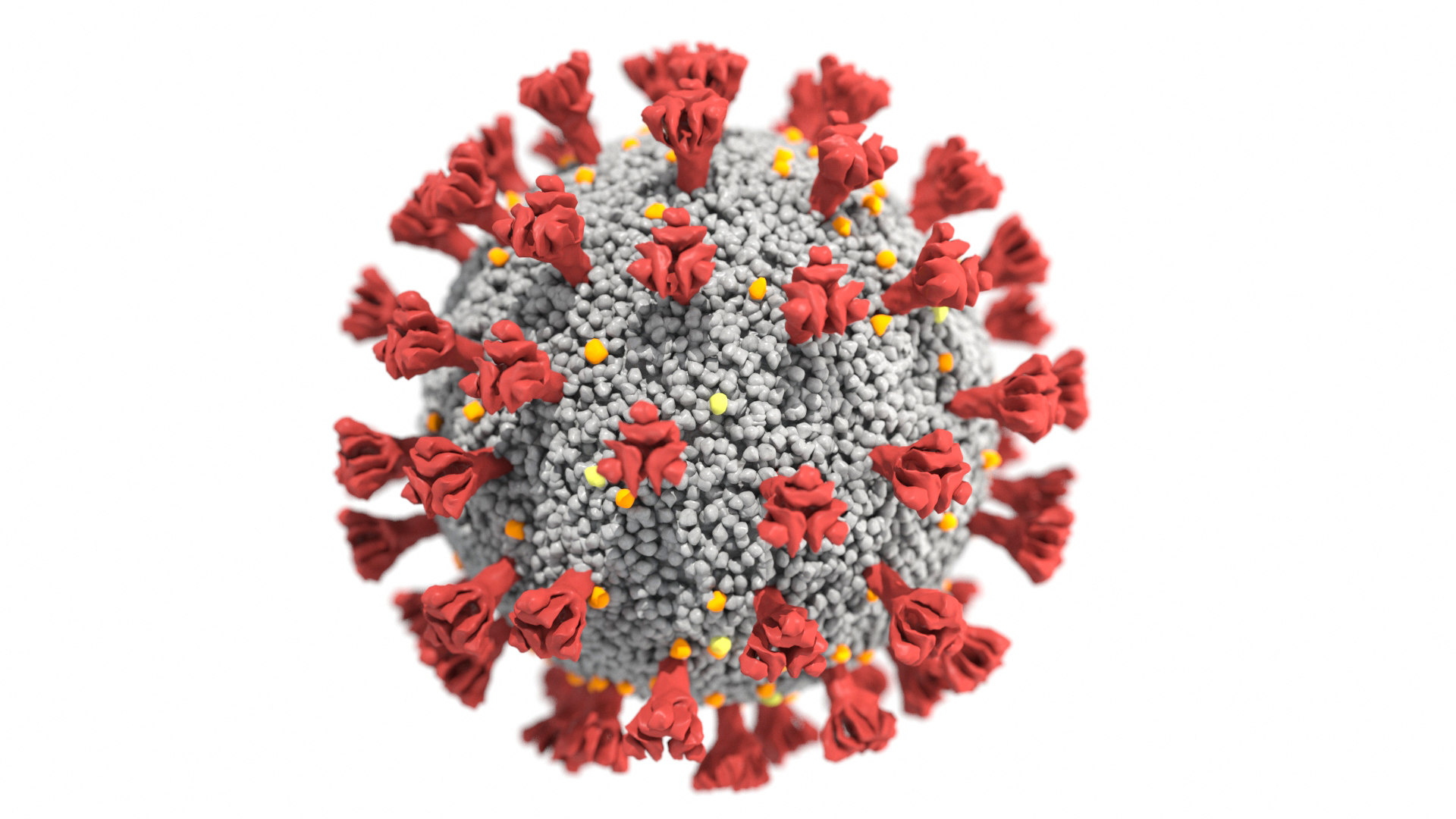 Corona virus covid-19 3D model - TurboSquid 1545170