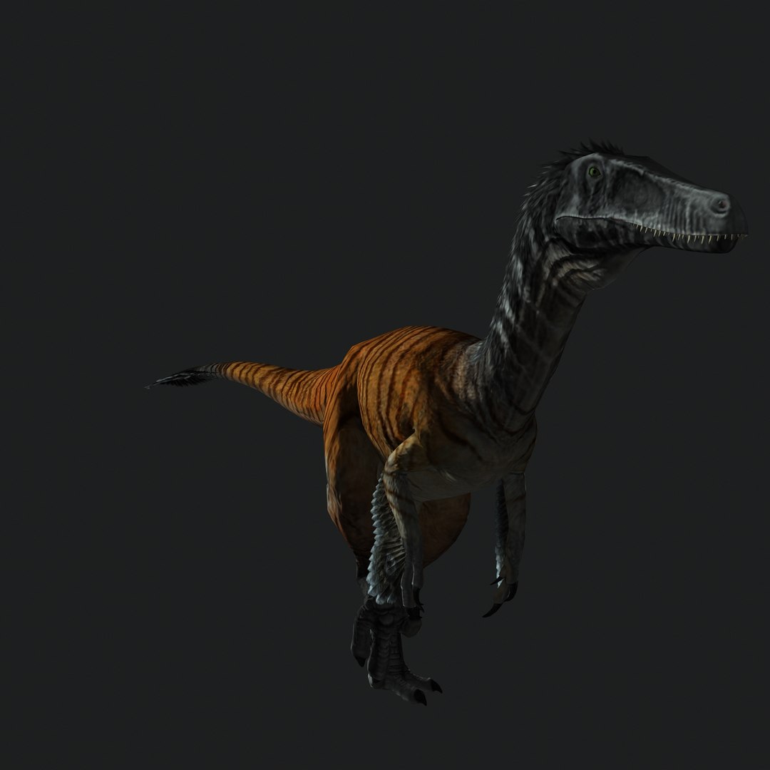 Austroraptor animation 3D model - TurboSquid 1545225