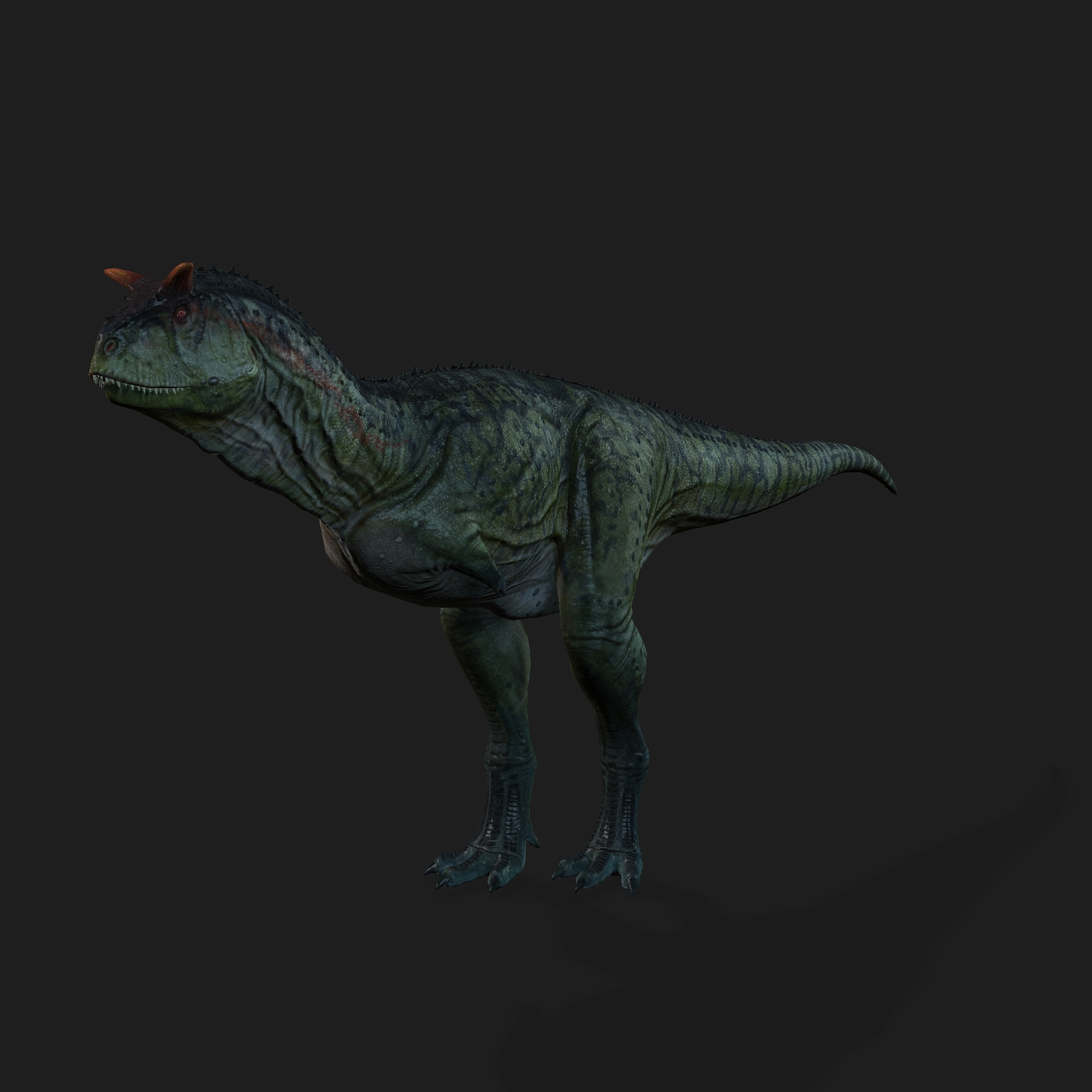 carnotaurus 3d google