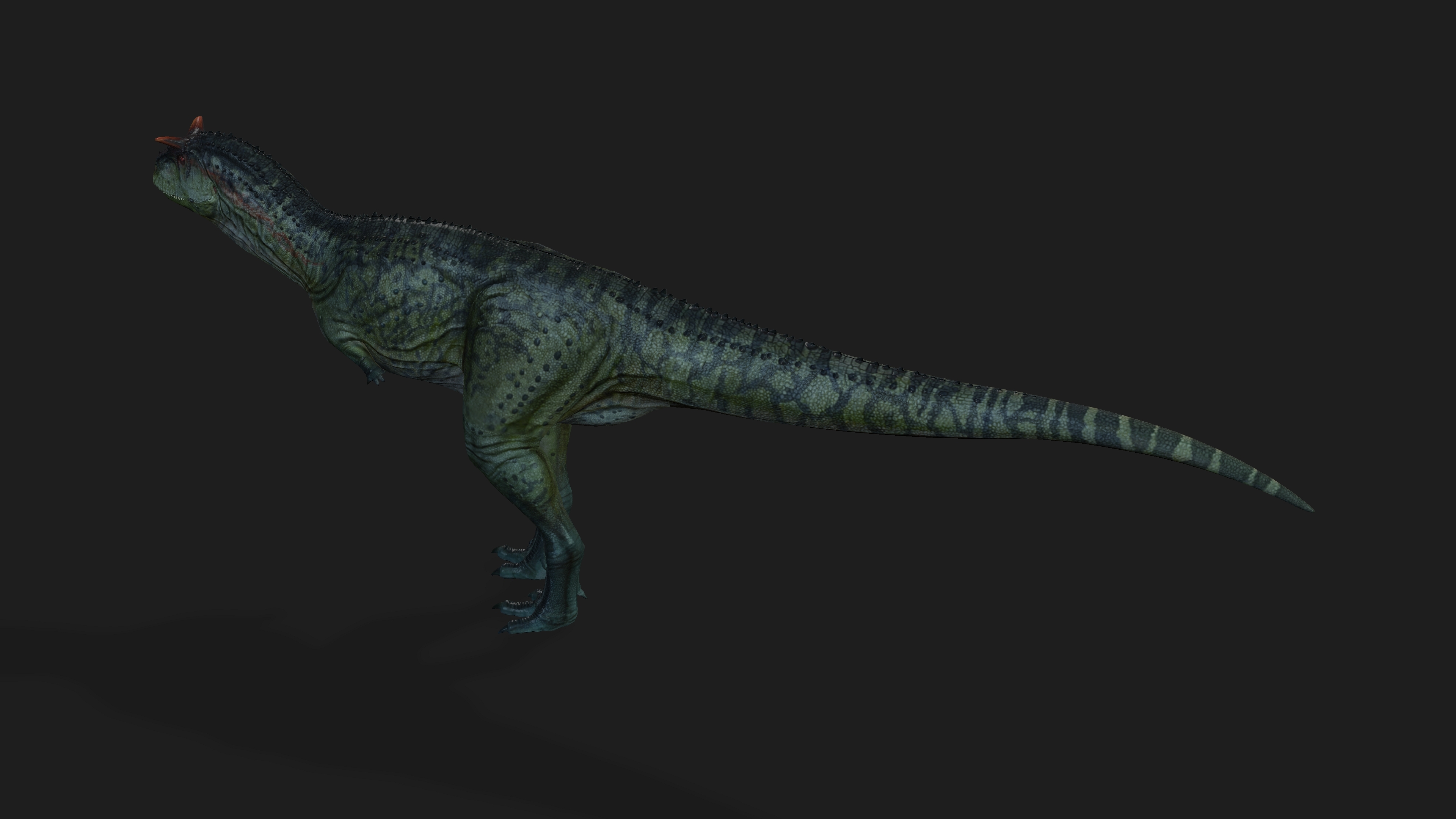 carnotaurus 3d google