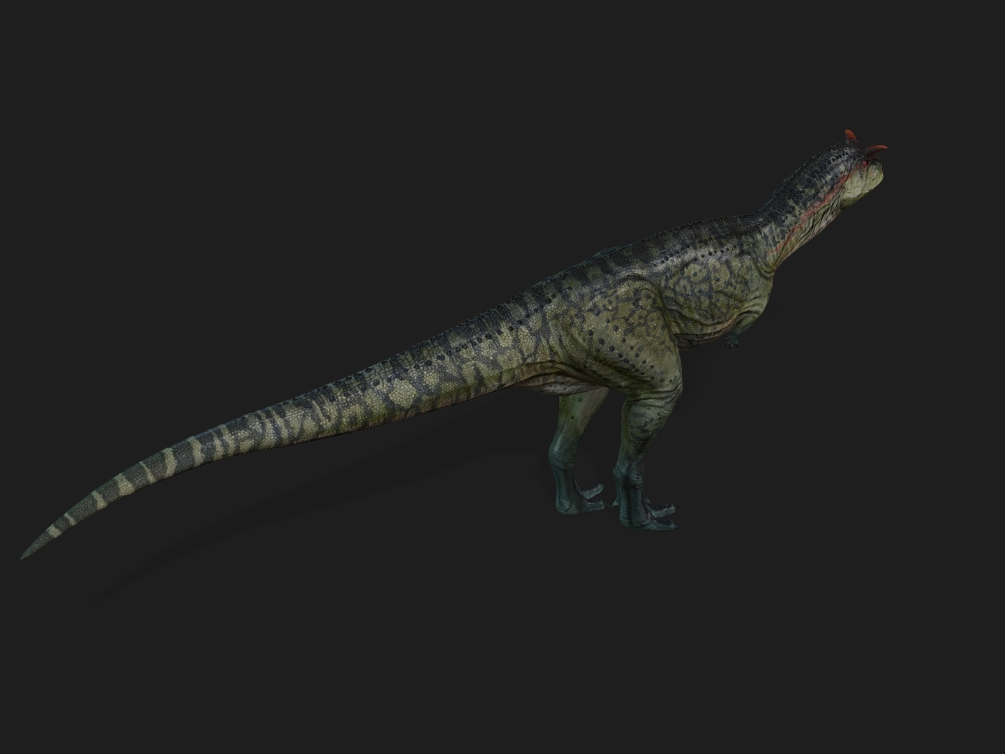 carnotaurus 3d google