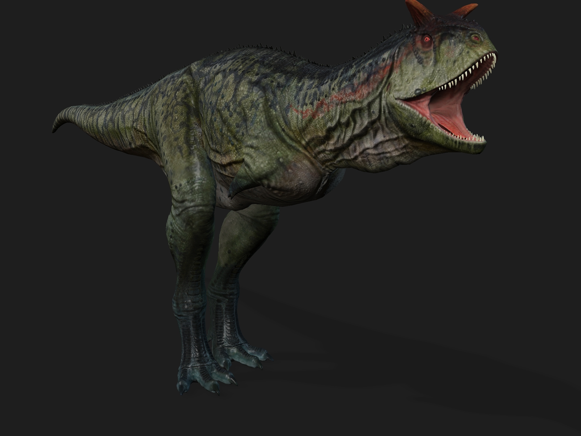 Turok giganotosaurus