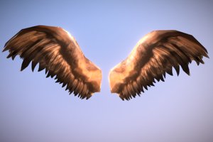 angel wings 3D model