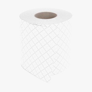 toilet paper model