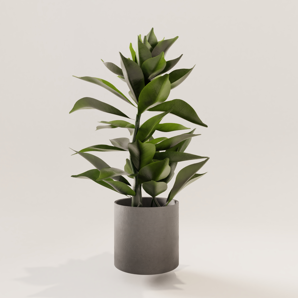 small plant3d模型