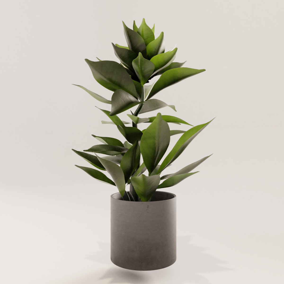 small plant3d模型