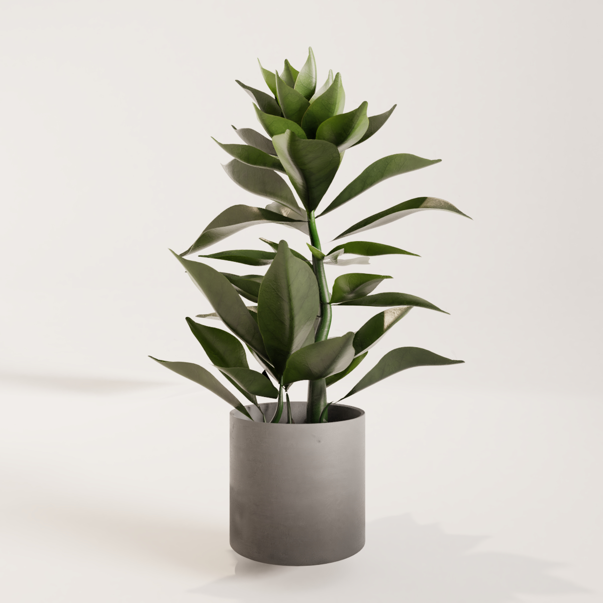 small plant3d模型