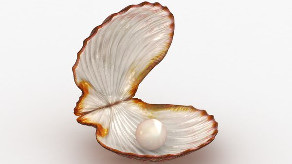 clam shell pearl