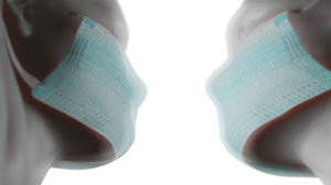Medical Mask Material Only