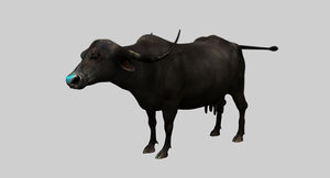 buffalo cow model