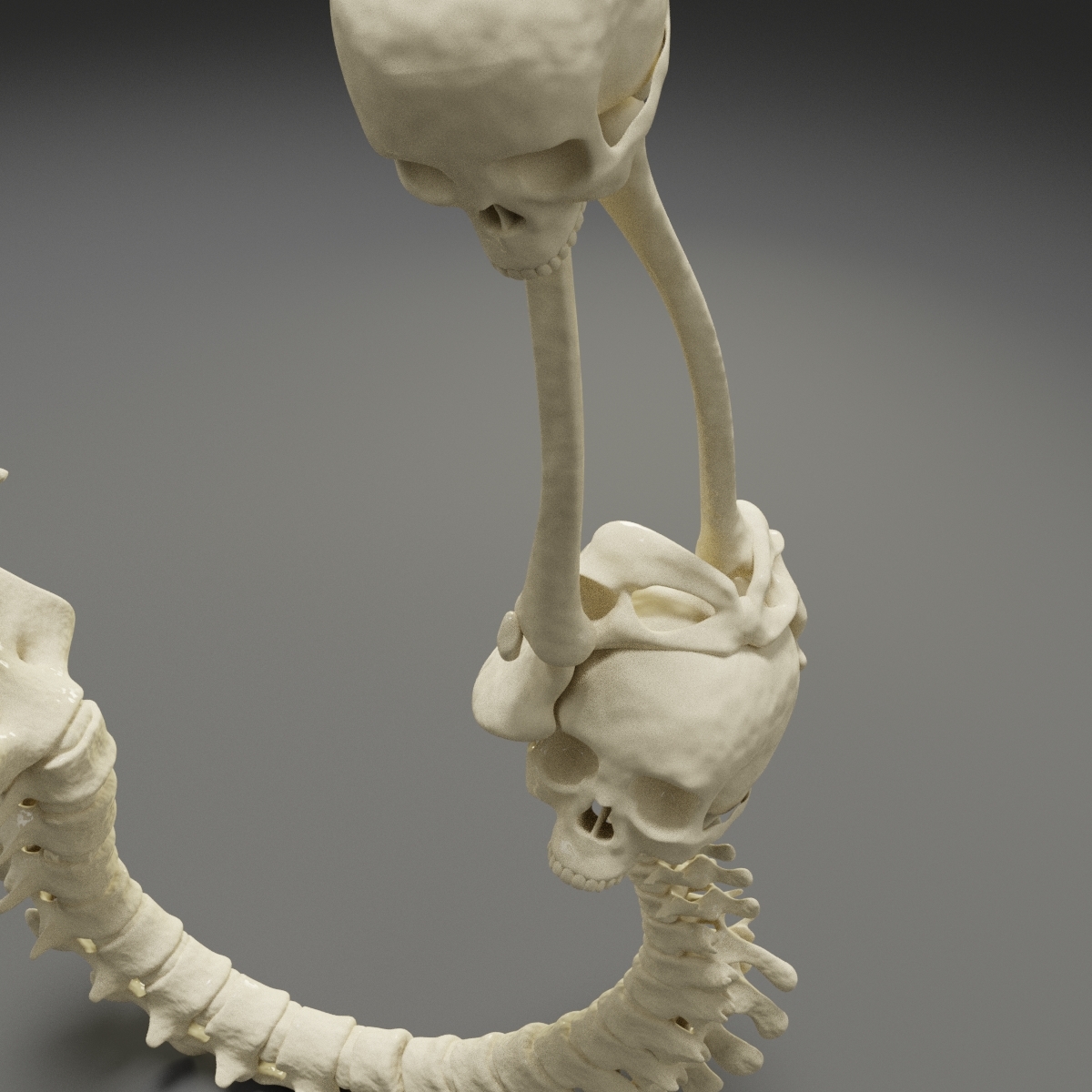 Letter j bones skeleton 3D - TurboSquid 1546260