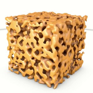 porous structure growth 3D model
