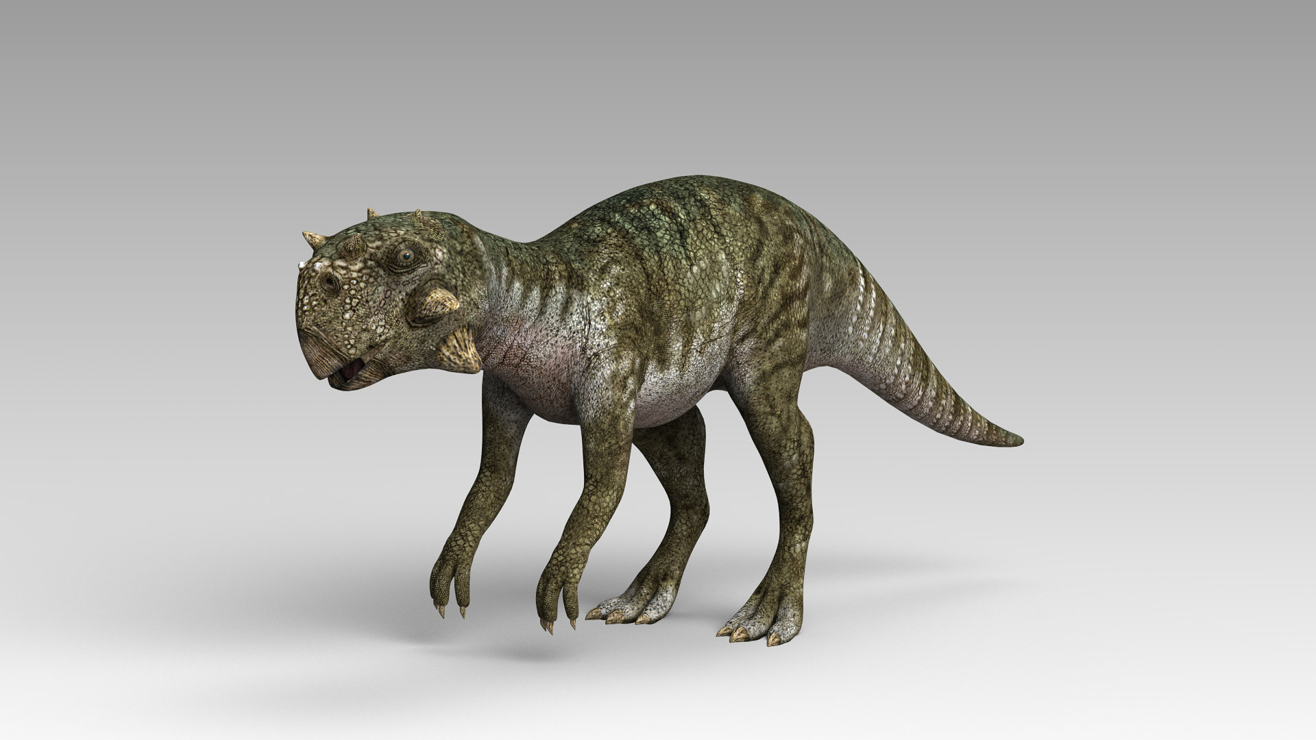 safari ltd psittacosaurus