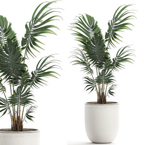 3D decorative palm white