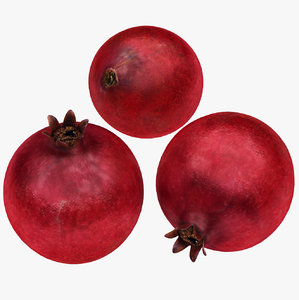 3D pomegranate