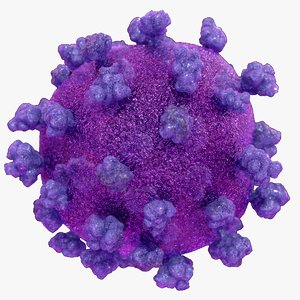 3D model sars-cov-2 virus coronavirus covid-19
