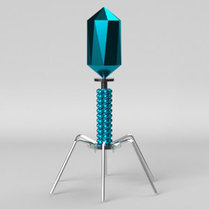 bacteriophage modeled 3D model