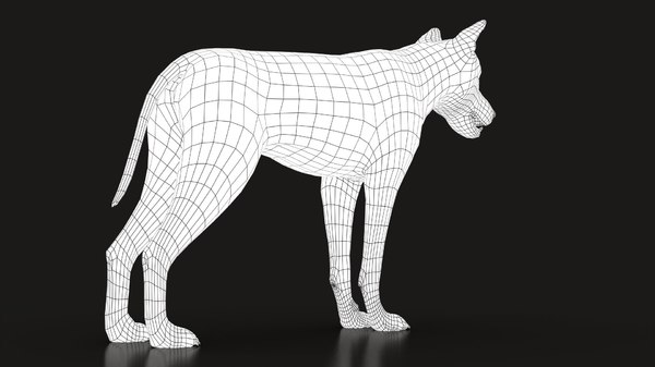 Modelo 3d Wolf Rig Xgen Turbosquid 1548295