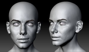 sandra head model