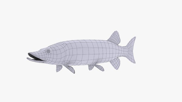 esocidae esox fish 3ds