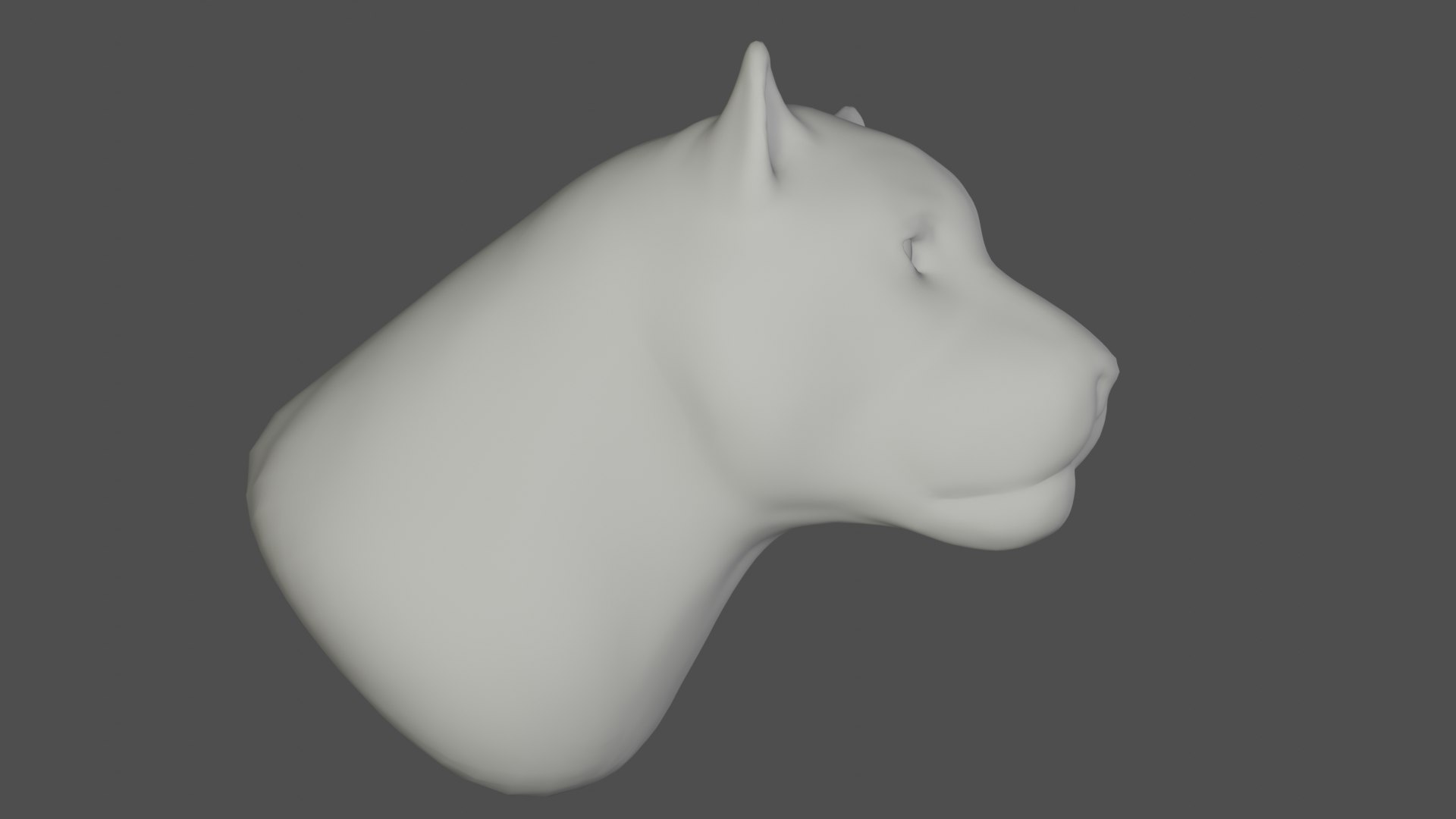 Free big cat s head 3D model TurboSquid 1549824
