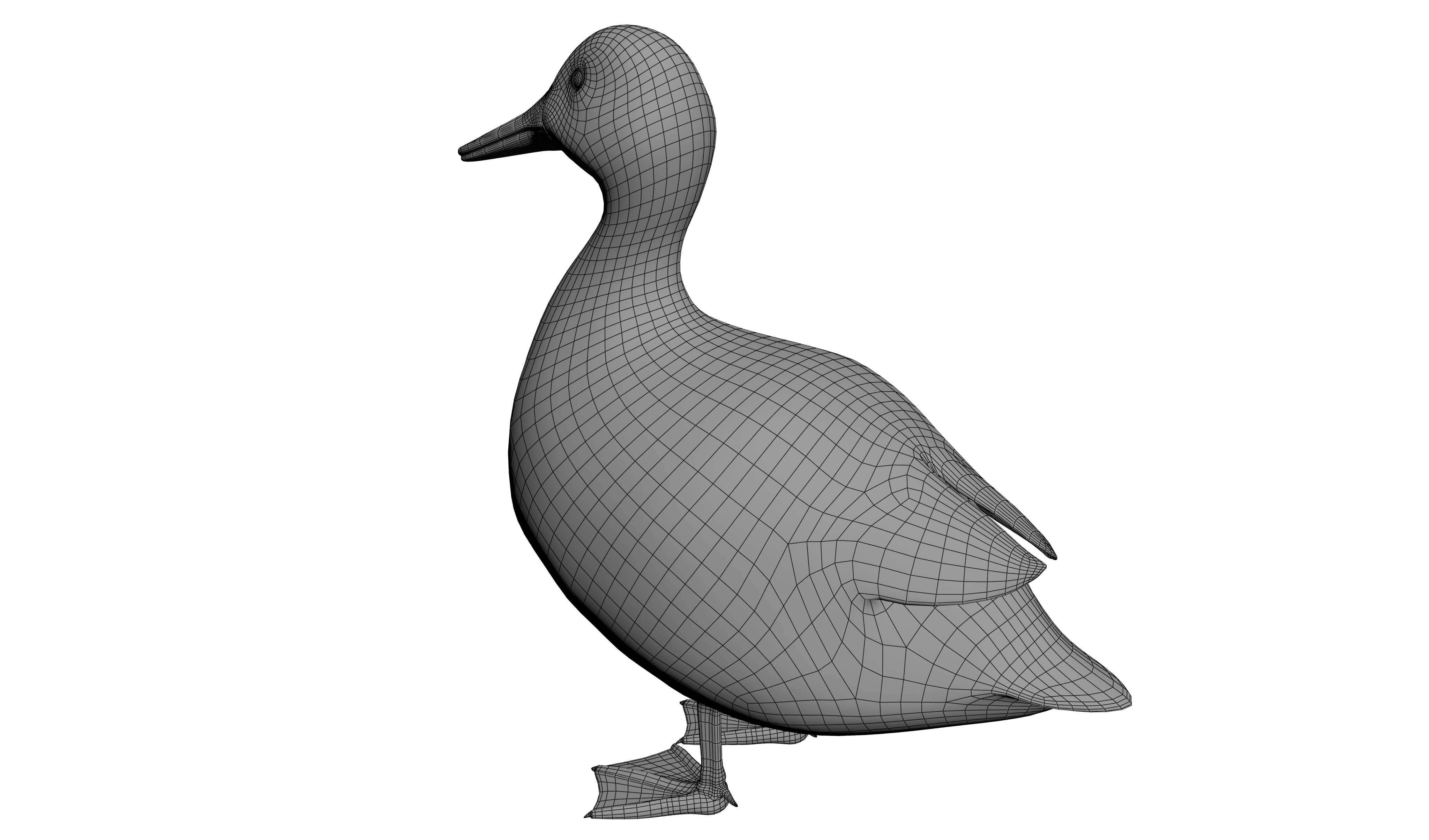 3D model duck realistic modeled - TurboSquid 1549951