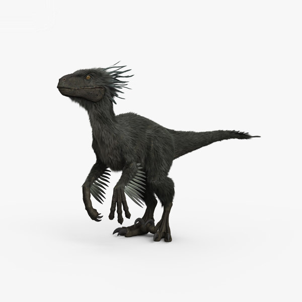 different kinds of raptor dinosaurs