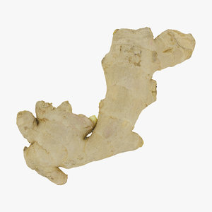 3D ginger root 04 raw