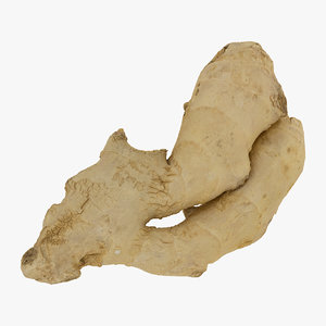 ginger root 05 raw 3D