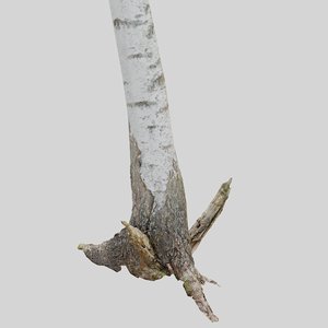 mid-poly tree trunk 3D model