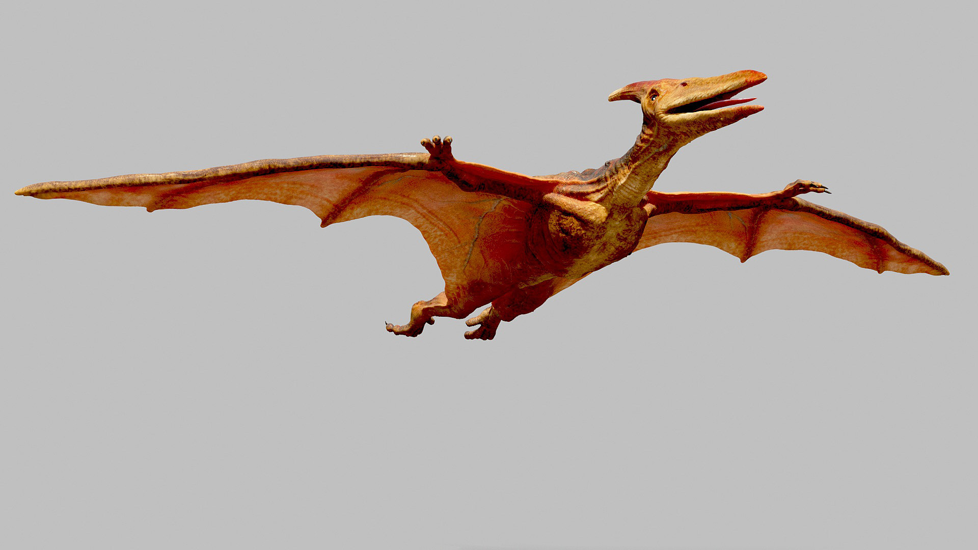 pterodactyl 3d google