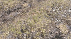 Dirty Terrain PBR Pack 2