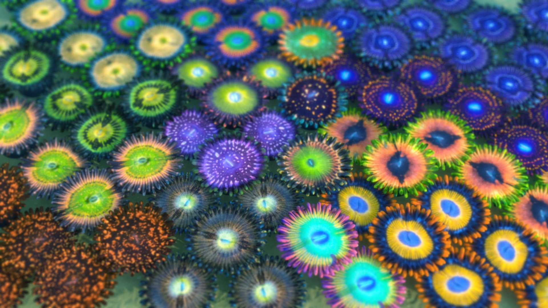 3D zoanthid corals TurboSquid 1551180