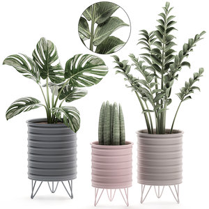 3D decorative plants pots interior