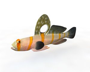 3D fish aquarium model