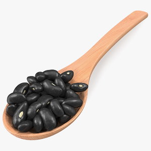 black turtle beans wooden 3D model